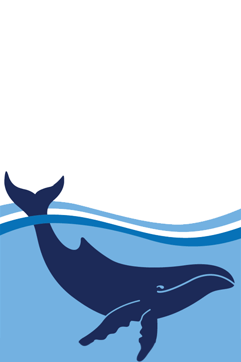 Australian Marine Conservation Society Logo